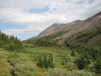 Jonas Pass Trail